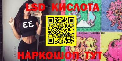 гашик Берёзовский