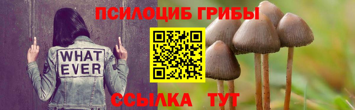 Галлюциногенные грибы MAGIC MUSHROOMS  Клин  Псилоцибиновые грибы Cubensis 